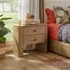 Normandy Warm Driftwood 2 Drawer Nightstand with USB Charging