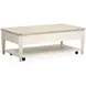 Whisperbay Sea Pearl and Driftwood Rectangular Lift Top Cocktail Table