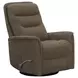 Dualis Snazzy Shiitake Manual Swivel Glider Recliner