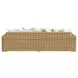 Playa Soothe Pearl 113" Outdoor Sofa with Flange Welt