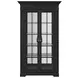 Atrium Black 2 Glass Door Display Cabinet with LED