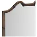 Harbor Warm Walnut Irregular Accent Mirror