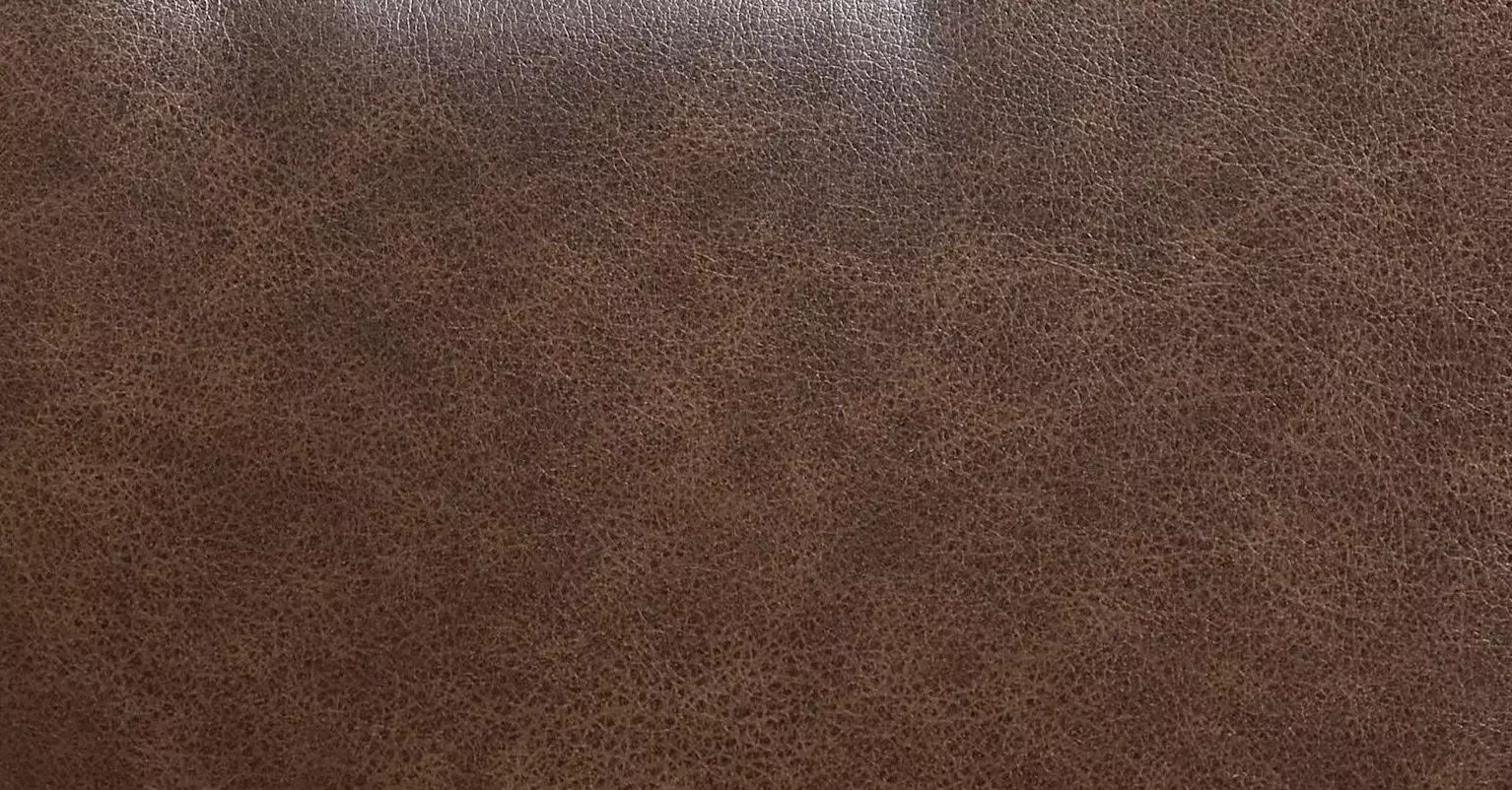 Acorn