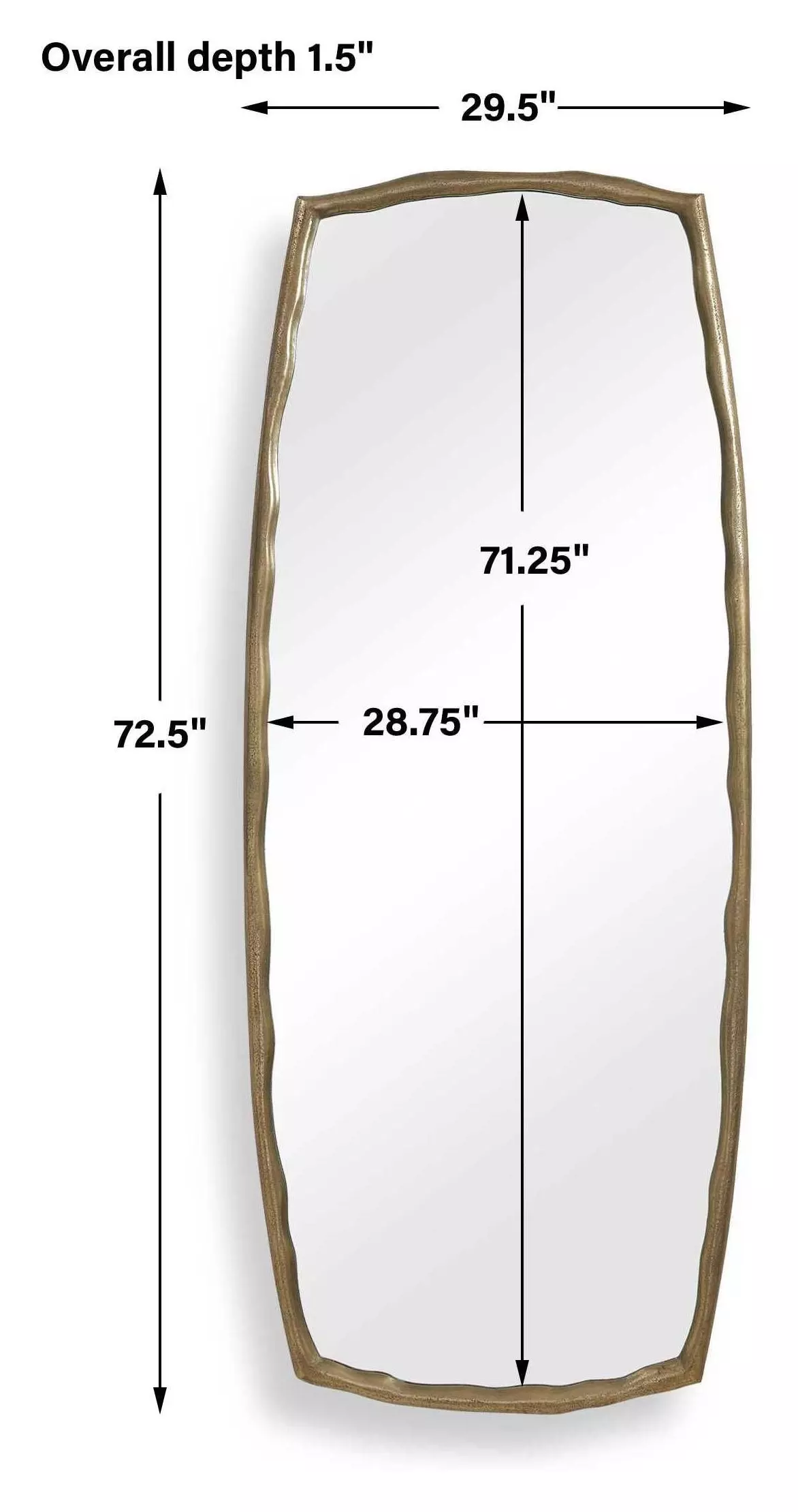 Alden Antique Brass Rectangular Tall Wall Mirror