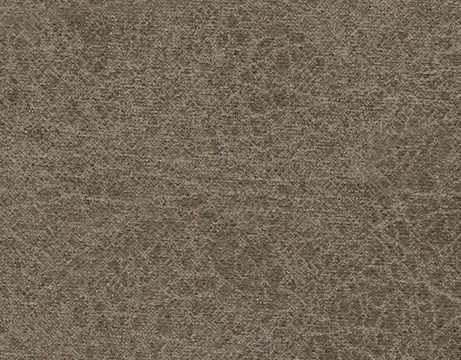 Fossil