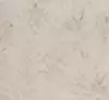 Champagne