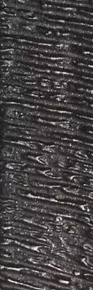 Gunmetal