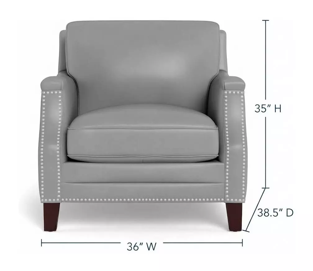 Camden Silver Leather Upholstered Accent Chair with Nailhead Trim