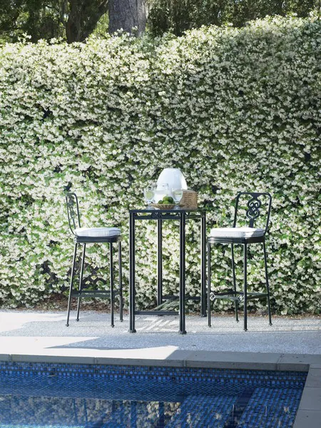 collection Augustine