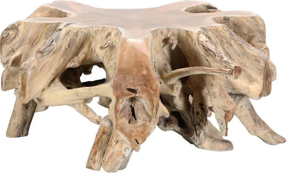 collection Cypress Root